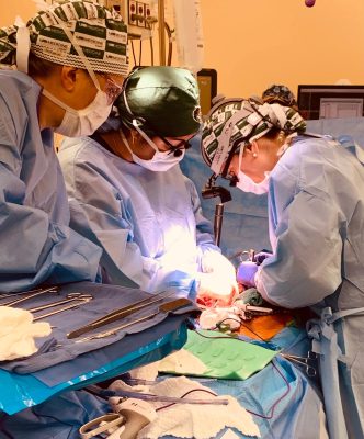 L'équipe chirurgicale prépare l'abdomen pour la transplantation.