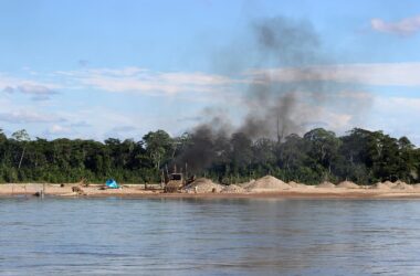L'extraction illégale d'or en Amazonie péruvienne transforme des forêts tropicales vierges en puits de mercure extrêmement pollués