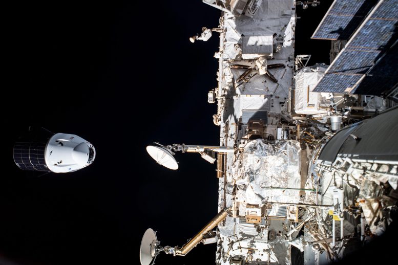 Le vaisseau de ravitaillement Cargo Dragon de SpaceX quitte la station spatiale.