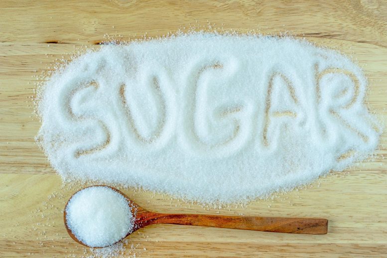 Le concept du sucre
