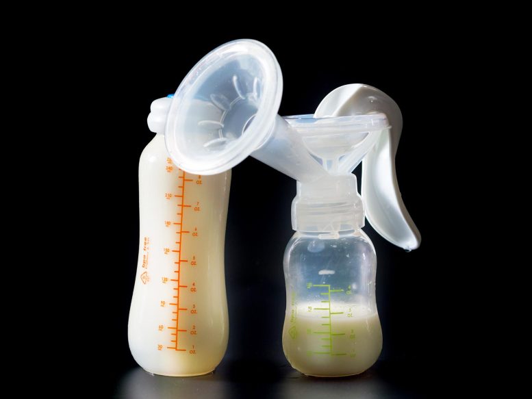 Le lait maternel humain