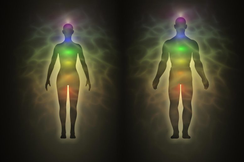 Corps humain abstrait Energie Métabolisme Spiritualité Concept