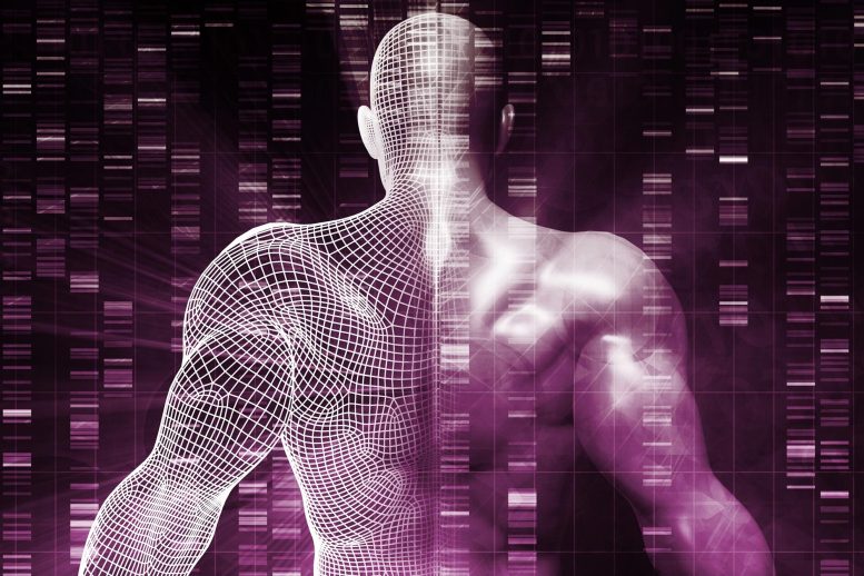 Corps humain ADN Génétique Concept