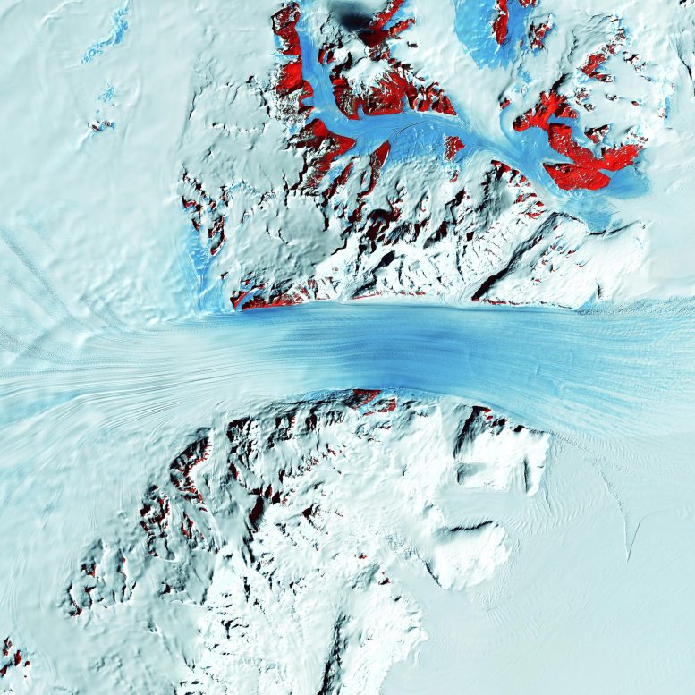 Le glacier Byrd de l'Antarctique