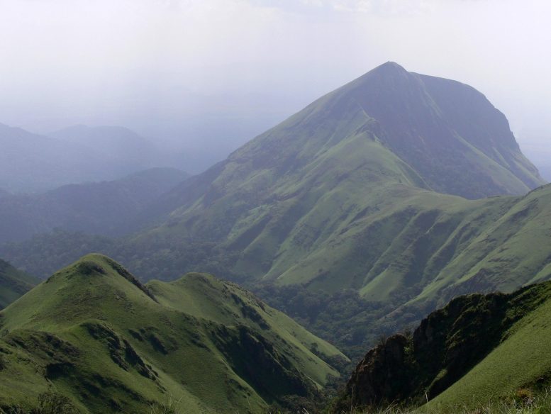 Montagnes Nimba, Guinée