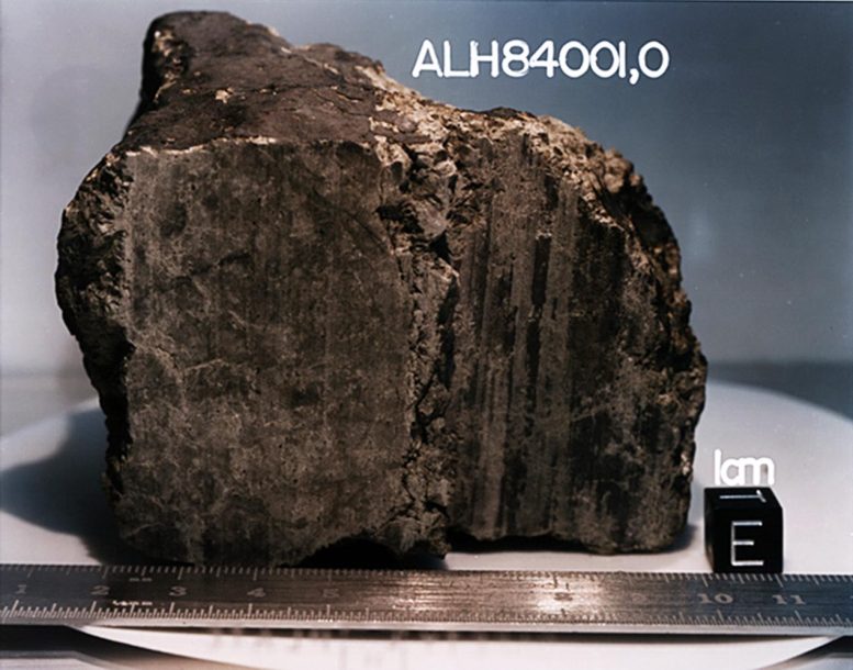 La météorite 84001 d'Allan Hills