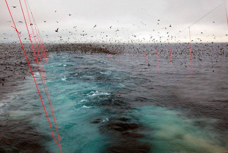 Des lignes de banderoles derrière les bateaux en Alaska