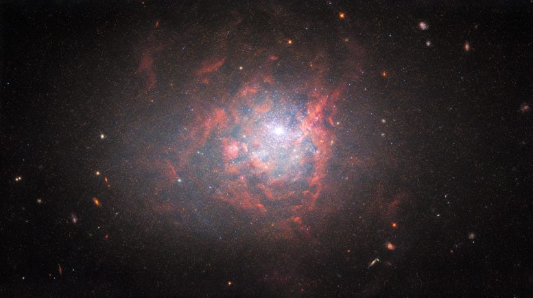 Galaxie naine NGC 1705