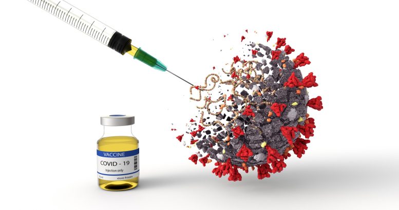 Les vaccins actuels apprennent aux lymphocytes T à combattre Omicron