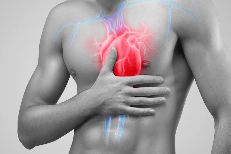 Concept de maladie cardiaque chez un jeune homme atteint de myocardite[1]Une petite étude a montré que </em><span class=