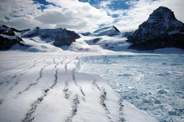 Glacier de l'Antarctique