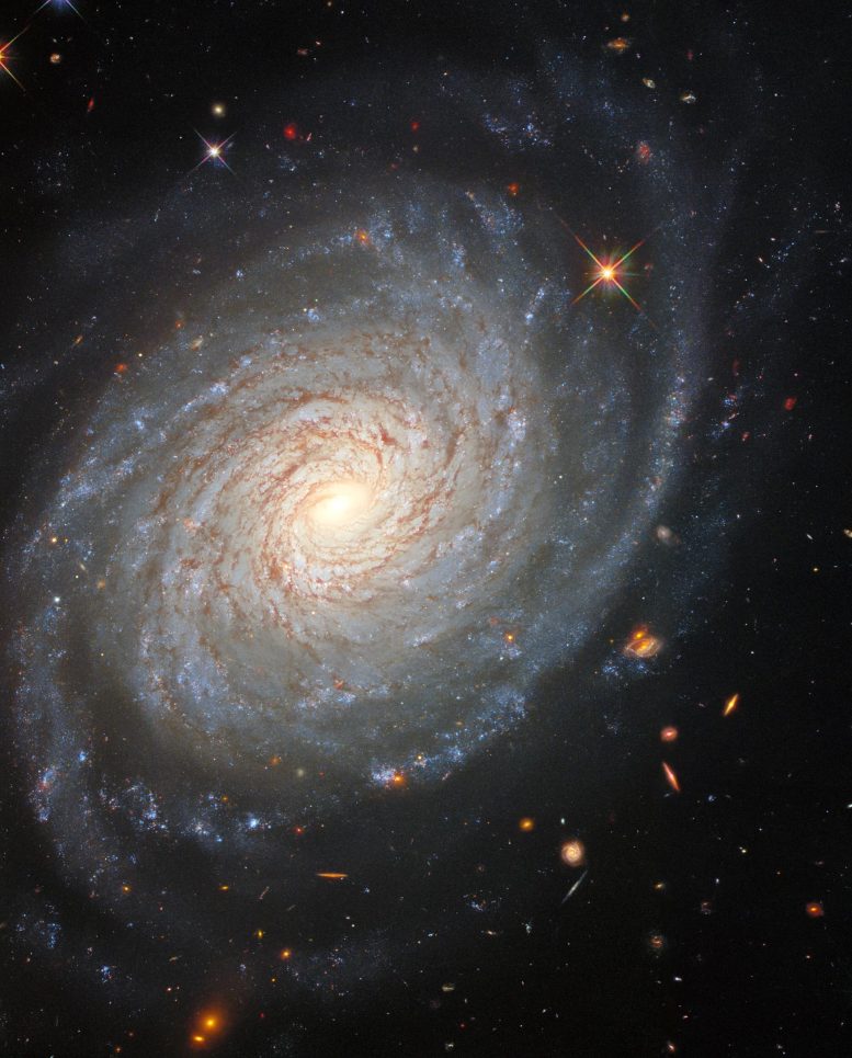 Galaxie NGC 976