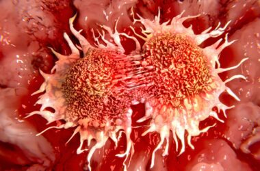 Dividing Cancer Cells Illustation