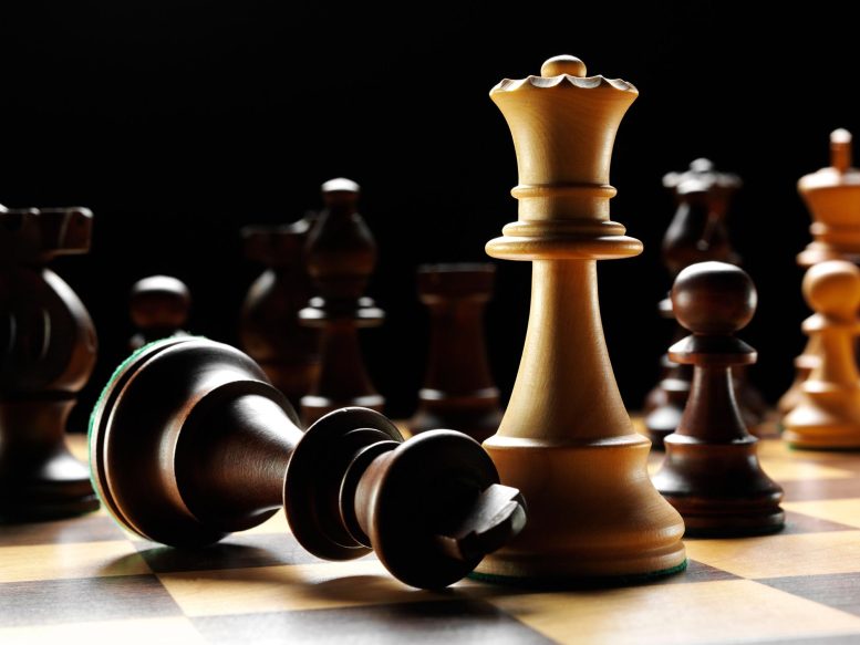 Pièces d'échecs Roi Reine