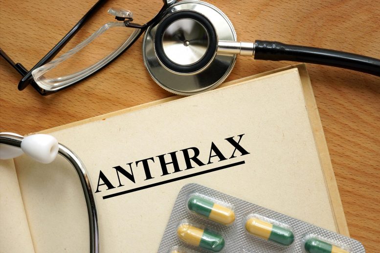 Concept général de l'anthrax