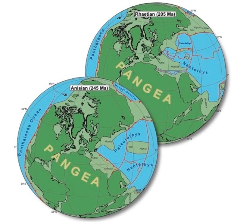 Supercontinent Pangea Globe