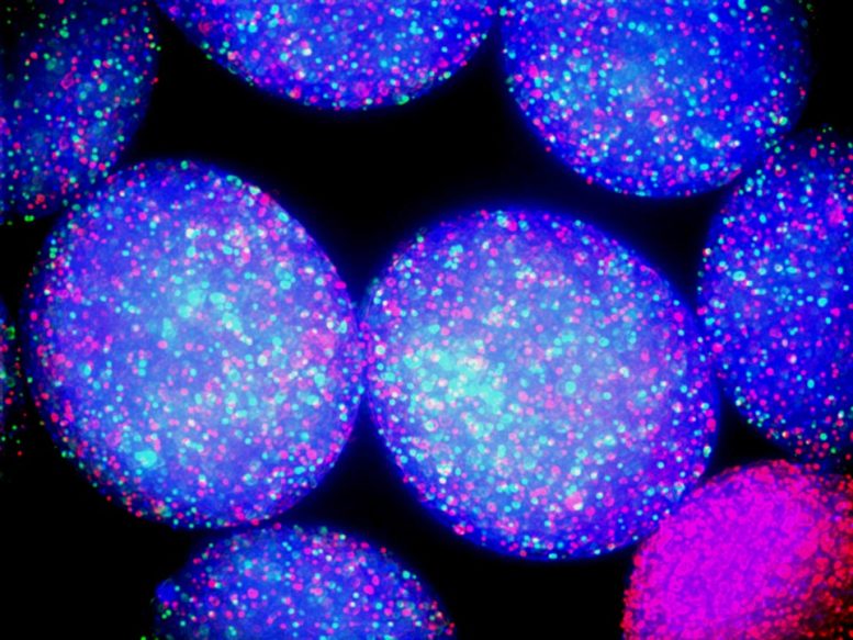 Des microbes lumineux dans une sphère bleue