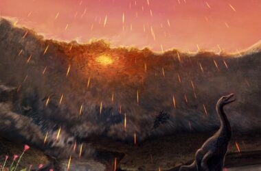 Le dernier jour des dinosaures : de nouveaux détails sur l'astéroïde dévastateur qui a frappé la Terre