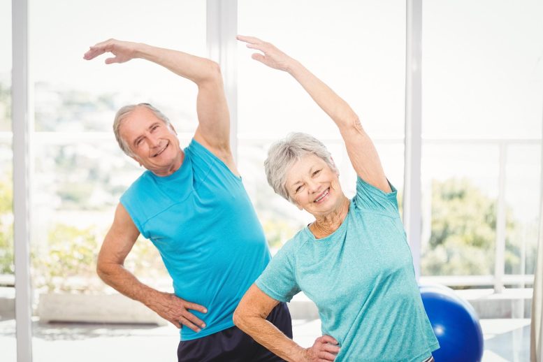 Couple de seniors faisant de l'exercice