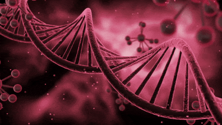 L'ADN tourne au rose rouge