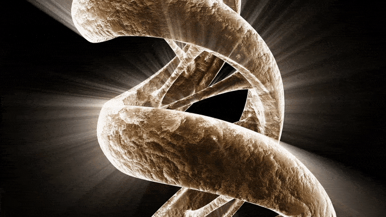 Spirale de l'ADN