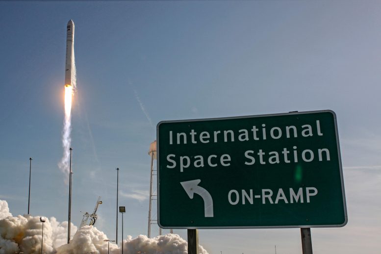 Lancement du cargo spatial Cygnus au sommet de la fusée Antares