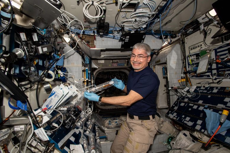 L'astronaute de la NASA Mark Vande Hei étudie la génétique du coton