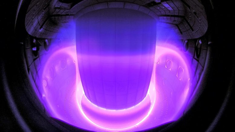 Le plasma à l'intérieur du tokamak TCV