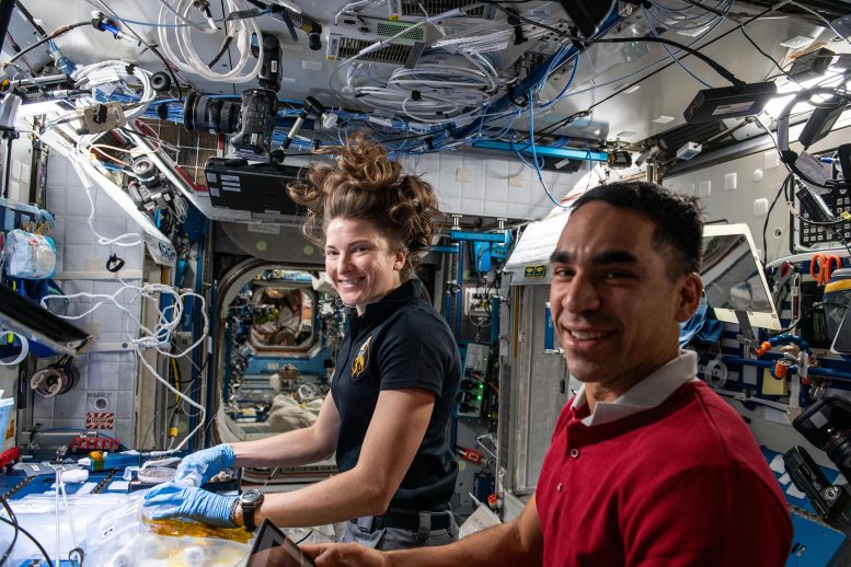 Les astronautes Kayla Barron et Raja Chari récoltent des échantillons de cellules de coton