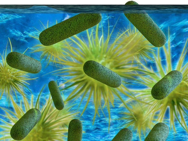Illustration de la bactérie Legionella