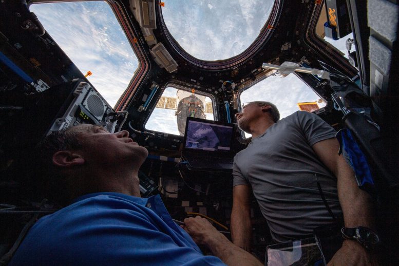Les astronautes Thomas Marshburn et Mark Vande Hei observent la Terre en dessous d'eux.