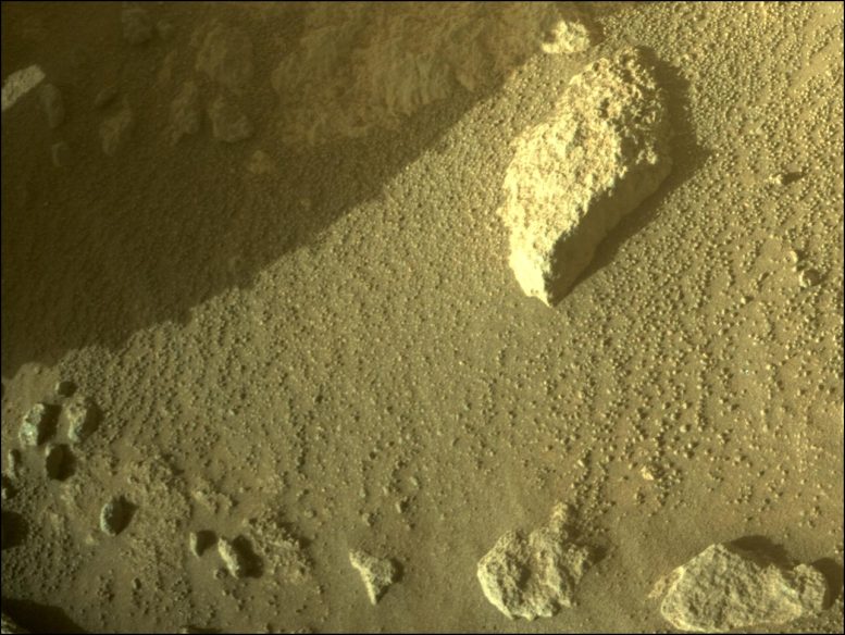 Mars Perseverance Sol 337 - Caméra d'évitement des dangers à l'avant droit.