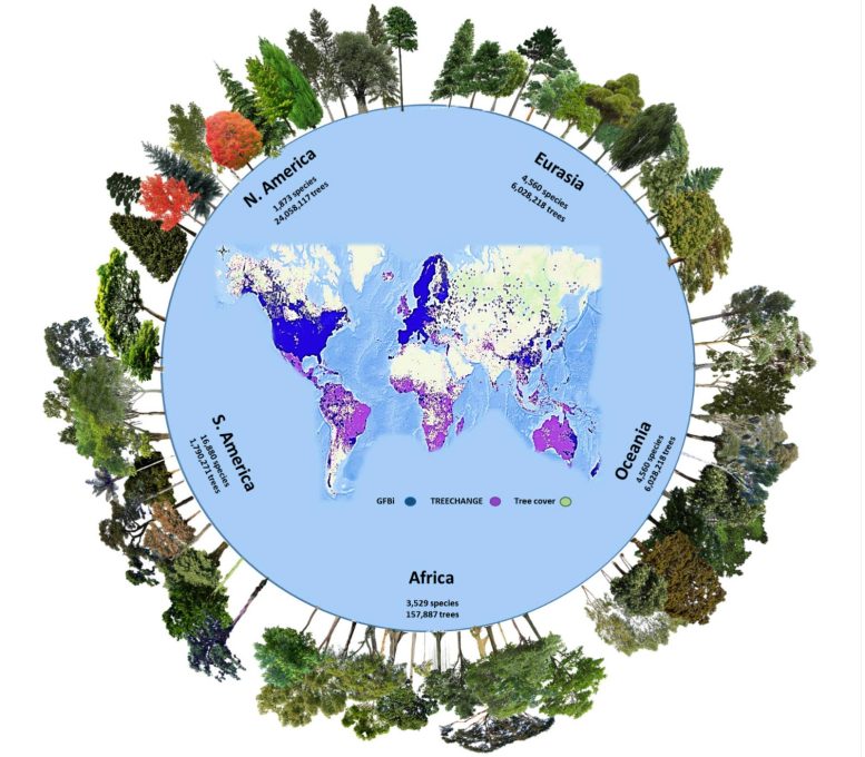 Base de données de l'initiative mondiale pour la biodiversité des forêts