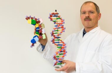Biologist Shows DNA and mRNA Models