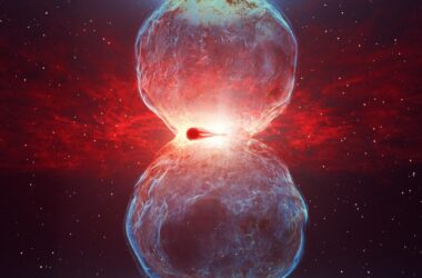 White Dwarf and Red Giant Binary System Following Nova Outburst