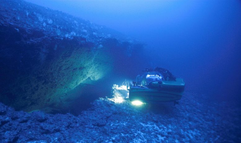 Sam Purkis Submersible Golfe d'Aqaba