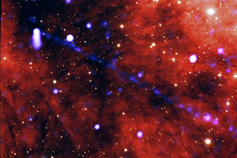 Pulsar PSR J2030+4415 X-Ray et optique grand champ