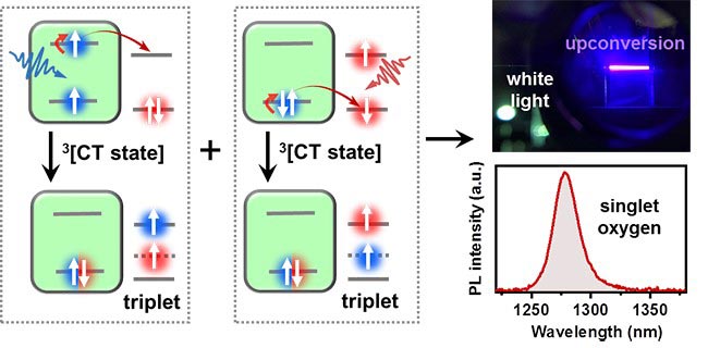 Retournement rapide du spin dans des nanocristaux colloïdaux pour générer des triplets moléculaires.