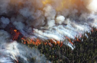 Confirmation d'un changement palpable dans la dynamique des incendies : Les feux de forêt américains sont quatre fois plus grands et trois fois plus fréquents depuis 2000.