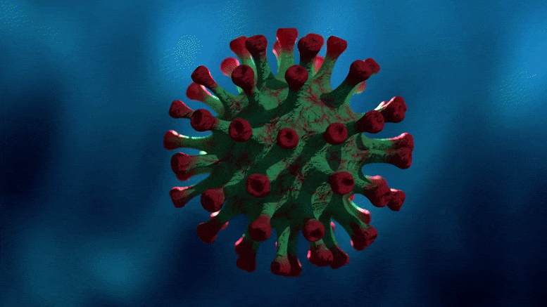 Evolution de la variante du virus COVID