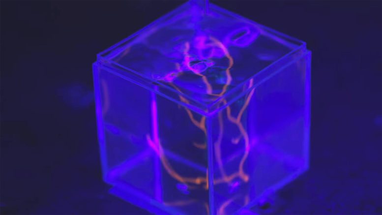 Coeur imprimé en 3D