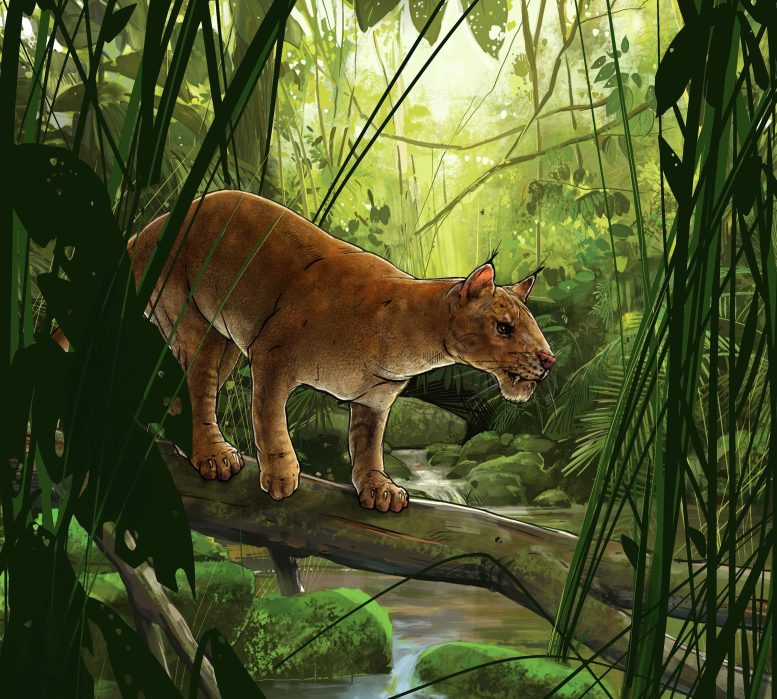 Diegoalerus dans la jungle