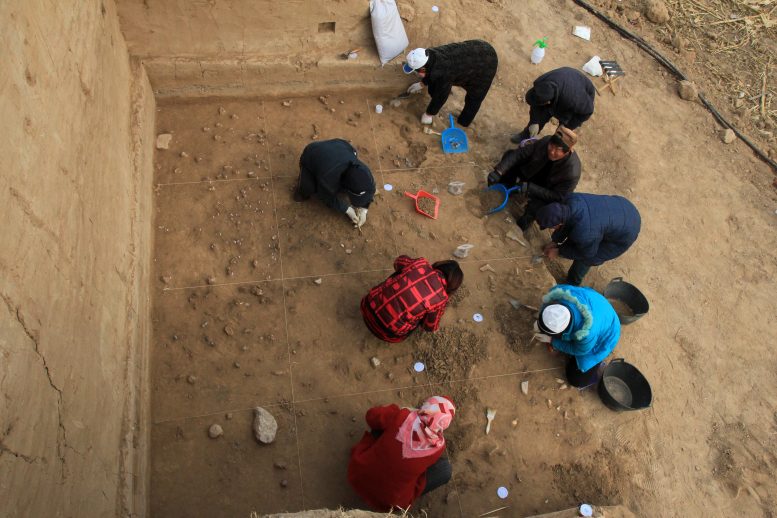 Des archéologues fouillent le site de Xiamabei