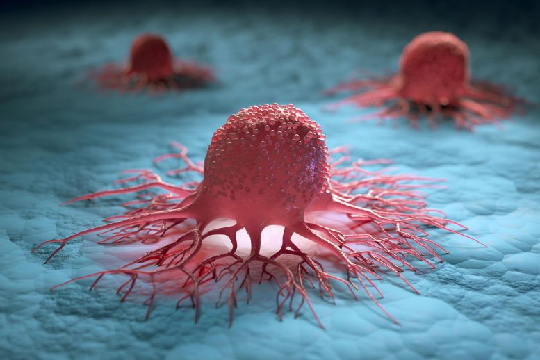 Illustration des cellules cancéreuses