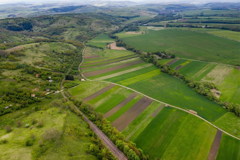 Terre agricole Champs de ferme Drone