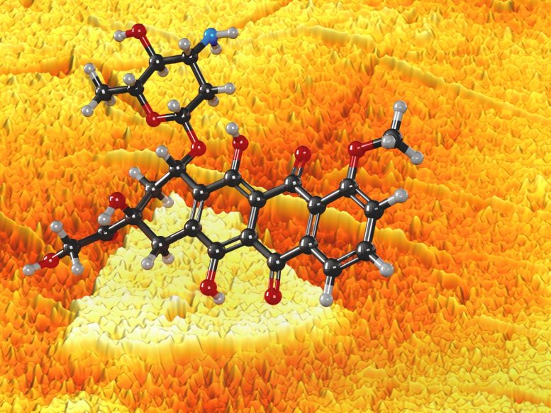Molécule de doxorubicine, un médicament contre le cancer