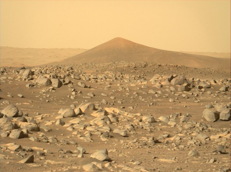 Mars Perseverance Sol 354