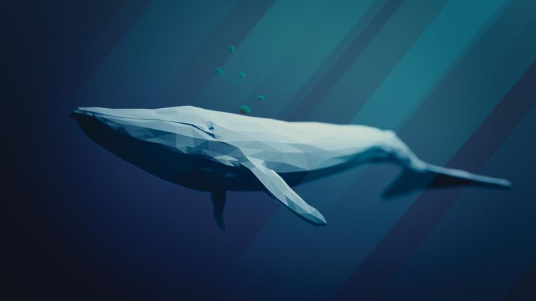 Illustration de la baleine bleue