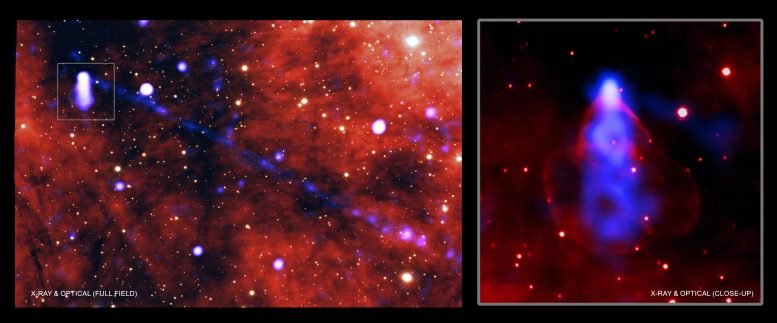Le pulsar PSR J2030+4415 en rayons X et en optique
