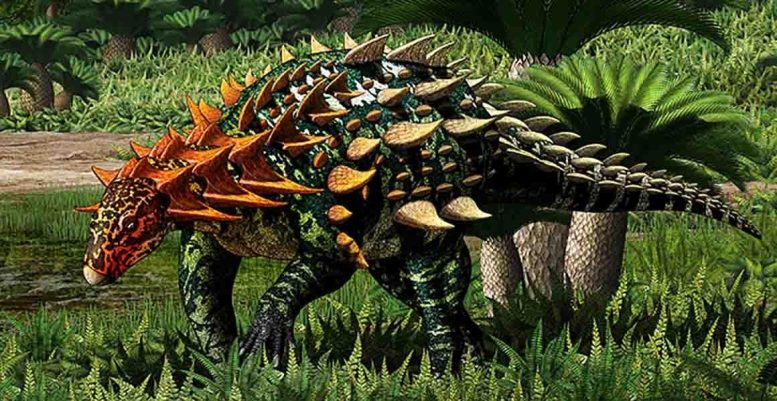 Reconstitution d'un nouveau dinosaure cuirassé d'Asie